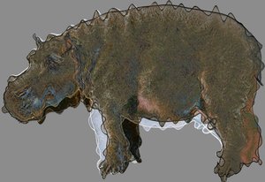 su aygırı,2020,(karışık teknik) by Alex Caminker