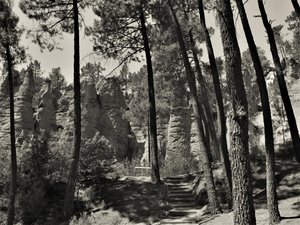 evrenin içinde,2019,(fotoğraf) by Alex Caminker