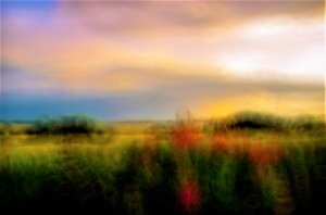palet,2019,(fotoğraf) by Alex Caminker
