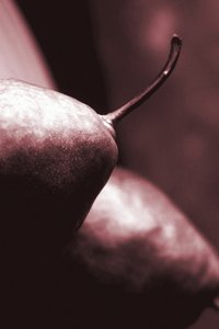 armutlar,2019,(fotoğraf) by Alex Caminker