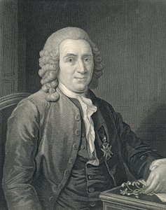 Charles Linnaeus'un Portresi by Alexander (after) Roslin