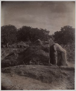 Asoka yazıtları ile kayanın üzerine oyulmuş fil, Dhauli, Puri Bölgesi by Alexander Caddy