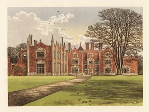 Witchingham Salonu, Norfolk, İngiltere. by Alexander Francis (after) Lydon