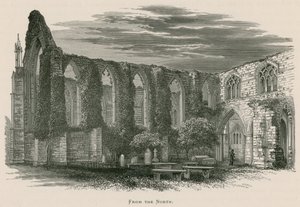 Kuzeyden Bolton Manastırı, by Alexander Francis Lydon