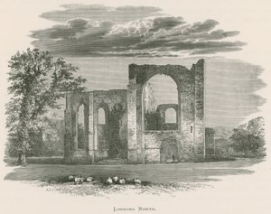 Furness Manastırı, Kuzeye Bakmak by Alexander Francis Lydon
