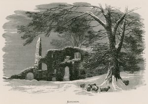 Kirkstall Abbey, Kitchen  by Alexander Francis Lydon