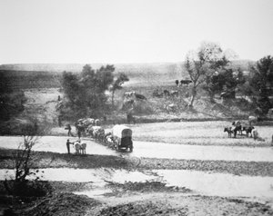 Tecolate Creek, New Mexico