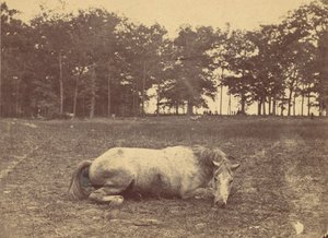 Bu Ölüm mü - Antietam Savaş Alanı, Eylül 1862, 1862. by Alexander Gardner