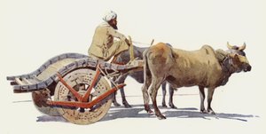 Bir Bullock Arabası, Jodhpur