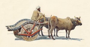 Bir Bullock Arabası, Jodhpur, c1880 1905. by Alexander Henry Hallam Murray