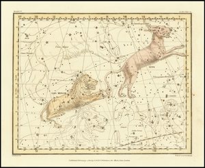 1822 - Alexander Jamieson - Lynx  Leo Minor by Alexander Jamieson