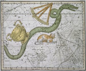 Hydra, 
