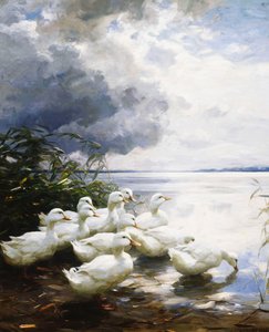 Gölün Kenarındaki Ördekler