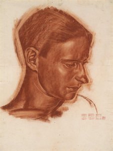 Sanatçı Vasily Shukhaev