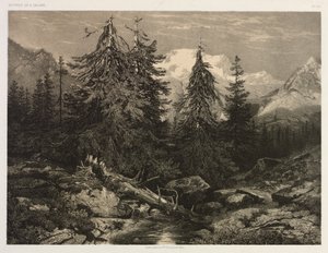 Alp Akışı by Alexandre Calame