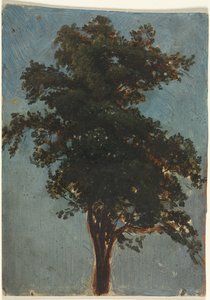 Ağaç Çalışması, ikinci üçüncü 1800