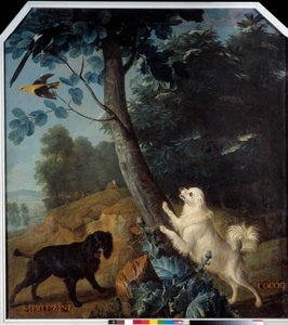 Merluzine ve Cocoq, XIV. Louis