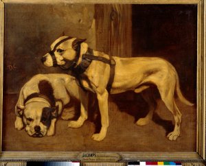 Namlulu İskoç Bulldog ve Teriyer Kötü Köpek. Alexandre Gabriel Decamps tarafından tablo by Alexandre Gabriel Decamps