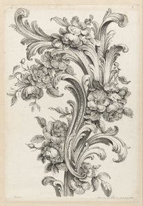 Çiçek ve Acanthus Yaprağı Tasarımı