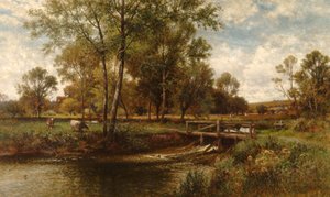 Meadows