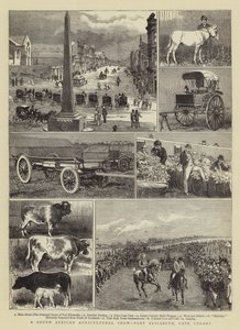 Güney Afrika Tarım Fuarı, Port Elizabeth, Cape Colony