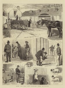 Kayıp ve Açlıktan Ölen Köpekler Evi, Battersea by Alfred Chantrey Corbould