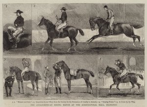Islington, Tarım Salonunda Anglo-Meksika Binicilik Maçı by Alfred Chantrey Corbould