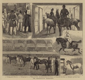 Büyükşehir At Gösterisi by Alfred Chantrey Corbould