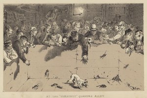 Turnspit