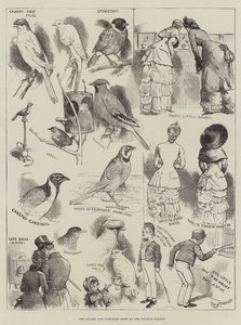 Crystal Palace