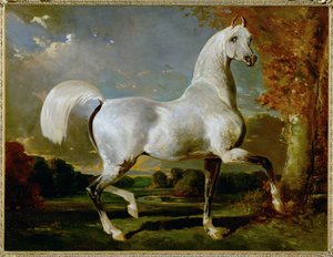  by Alfred Dedreux or de Dreux