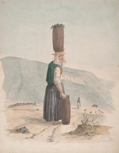 Kömür Satıcısı, Tenerife