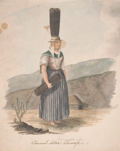 Kömür satıcısı, Tenerife
