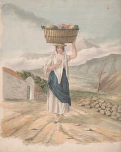 Port Orotava'nın kadın seyyar satıcısı by Alfred Diston