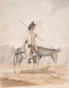 Eşeğe Binen Büyük Kanarya Adam by Alfred Diston