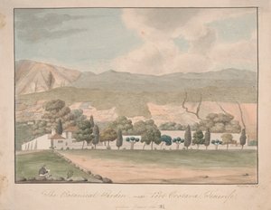 Tenerife Limanı Orotava yakınlarındaki Botanik Bahçesi by Alfred Diston
