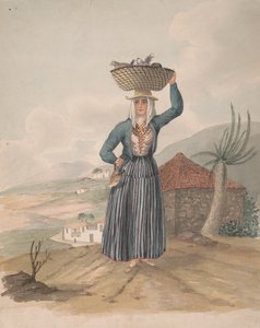 Victoria Kadını, Tenerife