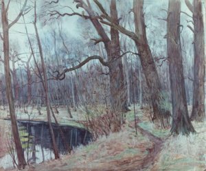 Leipzig taşkın yatağı by Alfred Frank