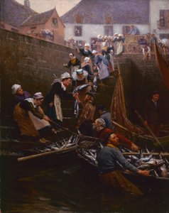 Ton balığının Concarneau