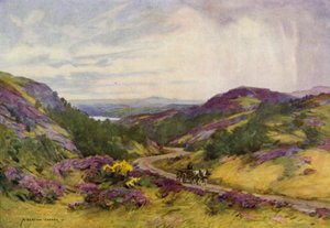 Danimarka: Aalborg yakınlarındaki Raebild Tepeleri (renkli taş) by Alfred Heaton Cooper