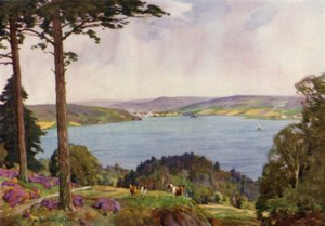 Danimarka: Wegel Fiyordu, Güney Jutland (renkli taş) by Alfred Heaton Cooper