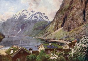 Geiranger Fjord 