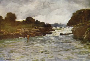 Kathleens Şelalesi, Ballyshannon by Alfred Heaton Cooper