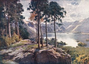Göller Bölgesi: Derwentwater, Castle Head