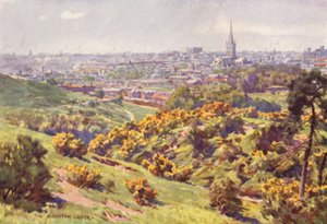 Mousehold Heath, Norfolk