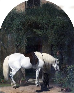 Beyaz At ve Retriever by Alfred Hichens Corbould