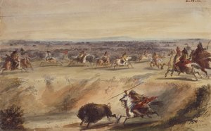 A Surround veya Buffalo Avı, c.1839 (kalem, tükenmez kalem ve mürekkep, kağıt üzerine suluboya ve guaj boya) by Alfred Jacob Miller