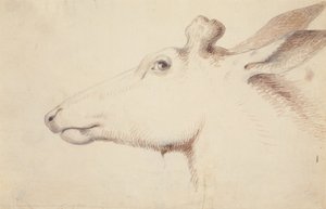 geyik. c.1837 (çizim) by Alfred Jacob Miller