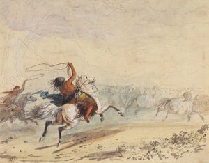 Kement Yabani Atlar, c.1837 (kağıt üzerine kurşun kalem, tükenmez kalem, mürekkep, suluboya ve guaj boya) by Alfred Jacob Miller