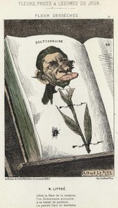 Déséchée çiçeği: Littré ile ilgili karikatür - hasta. 01/02/1871 tarihinden itibaren “Günün Çiçekleri, Meyveleri ve Sebzeleri” by Alfred Le Petit